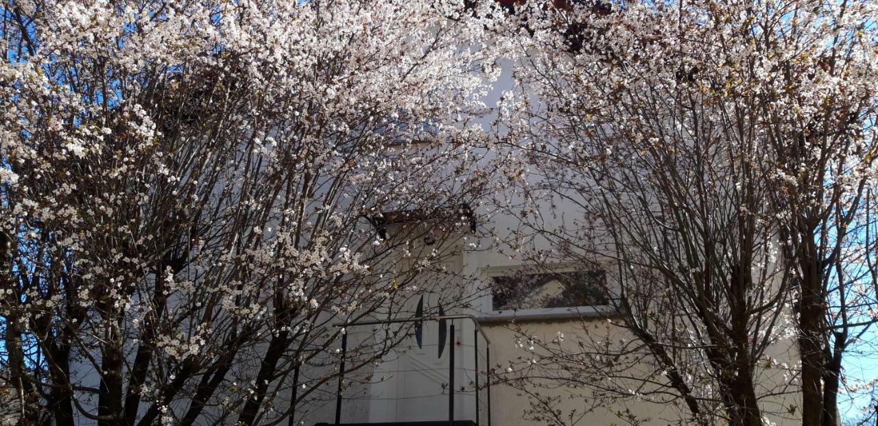 Apple Tree Apartment Zagreb Ngoại thất bức ảnh
