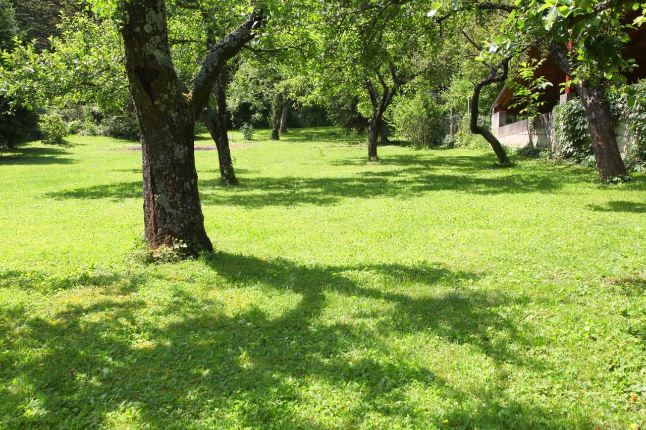 Apple Tree Apartment Zagreb Ngoại thất bức ảnh